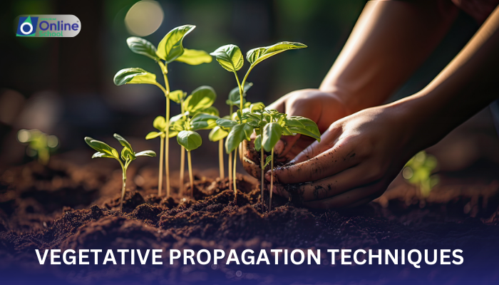 Lesson 03: Vegetative Propagation Techniques